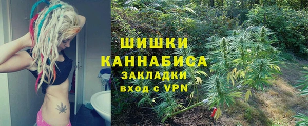 прущие крисы Вяземский