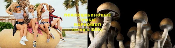 прущие крисы Вяземский